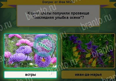 Выбирайка ответы в картинках Уровень 26