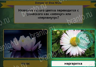 Игра Выбирайка Одноклассники подсказки Уровень 28