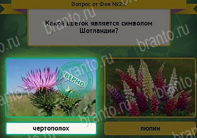 игра Выбирайка ВК помощь Уровень 29