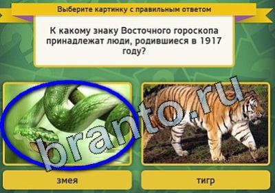 решебник на игру Выбирайка Уровень 1571