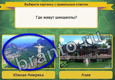 Выбирайка решения Уровень 1572