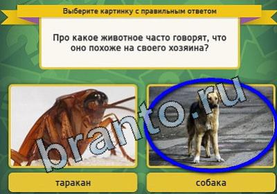Игра Выбирайка ответы Уровень 1587