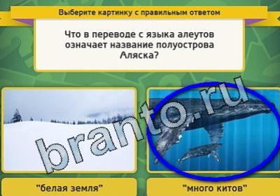 решебник на игру Выбирайка Уровень 1631