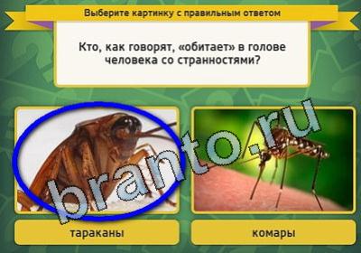 Помощь на игру ВК Выбирайка Уровень 1684