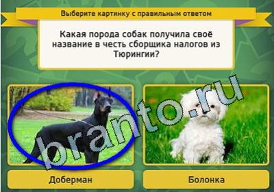 Выбирайка игра помощь Уровень 1705