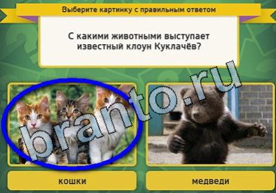 ответы на игру Выбирайка в одноклассниках Уровень 1771