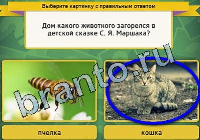 Выбирайка ответы в картинках Уровень 1786