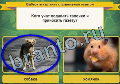 Игра Выбирайка подсказки Уровень 1788