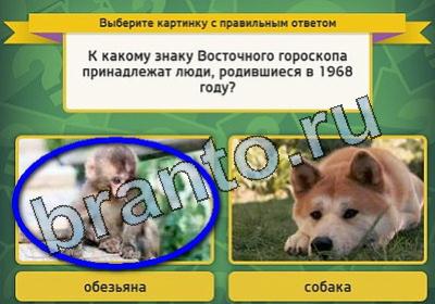 Игра Выбирайка ответы Уровень 1797