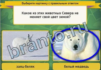 Игра Выбирайка подсказки Уровень 1798