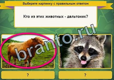 Решения на игру Выбирайка Уровень 1833