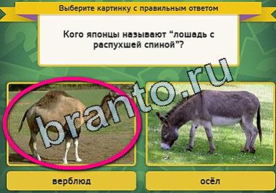 ответы на игру в одноклассниках Выбирайка Уровень 1836