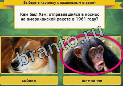 Одноклассники Выбирайка ответы Уровень 1838