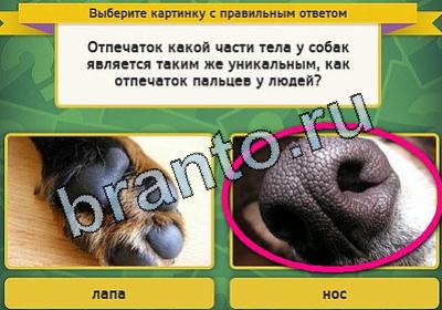 Игра Выбирайка подсказки Уровень 1848