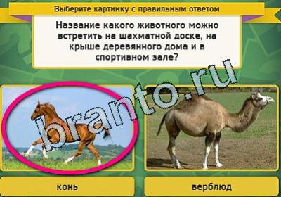 Одноклассники Выбирайка ответы Уровень 1868