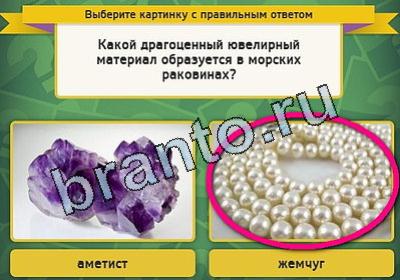 игра Выбирайка ответ на Уровень 1870