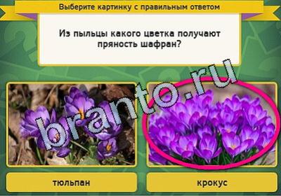 Выбирайка игра ответы Уровень 1873