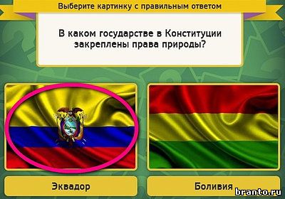 Выбирайка ответы в картинках Уровень 1876