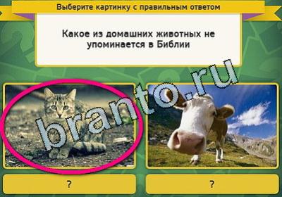 Выбирайка игра помощь Уровень 1885