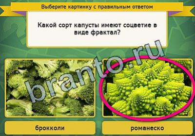 решебник на игру Выбирайка Уровень 1901