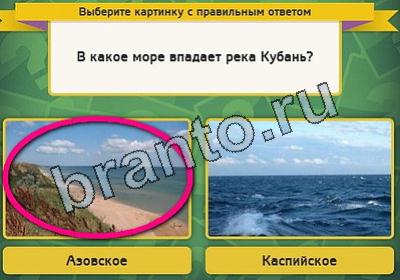Выбирайка игра ответы Уровень 1903