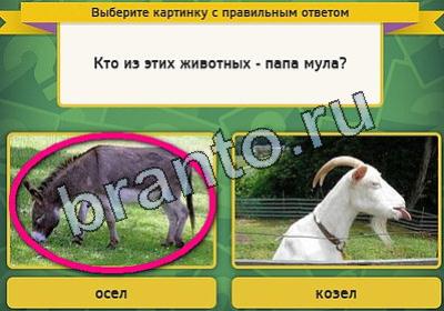 Выбирайка игра ответы Уровень 1933