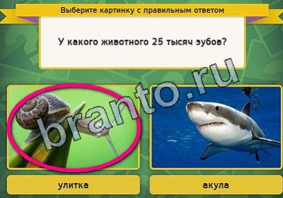 игра Выбирайка помощь Уровень 1939