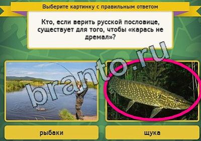 Подсказки на игру Выбирайка Уровень 1952