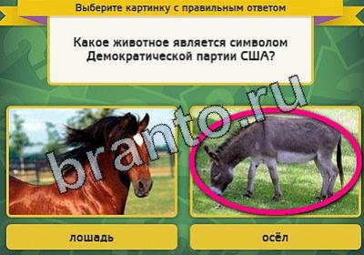 ответы на игру в одноклассниках Выбирайка Уровень 2016