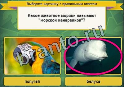 решебник на игру Выбирайка Уровень 2021