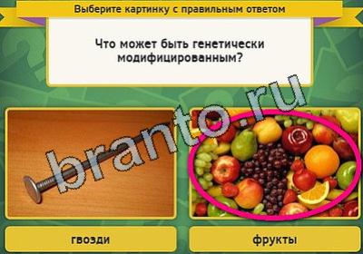 Выбирайка игра ответы Уровень 2023