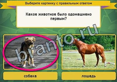 Выбирайка игра ответы Уровень 2033