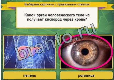 Выбирайка игра подсказки Уровень 2034