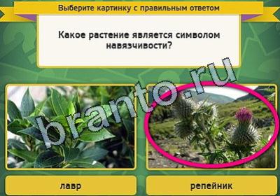 Выбирайка игра помощь Уровень 2035