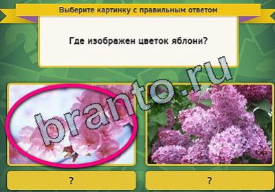 игра Выбирайка ответ на Уровень 2040