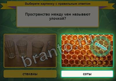 игра Выбирайка ответ на Уровень 2140