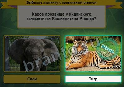 Выбирайка решения Уровень 2142