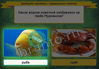 игра Выбирайка помощь Уровень 2149