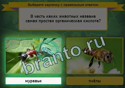 Выбирайка игра подсказки Уровень 2304