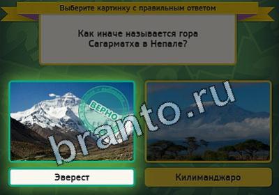 решебник на игру Выбирайка Уровень 2331