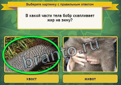 Одноклассники Выбирайка ответы Уровень 2408