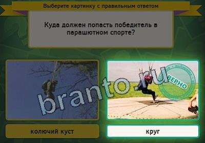 игра Выбирайка ответ на Уровень 2410