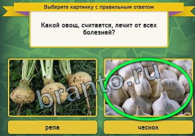 Выбирайка игра помощь Уровень 2415