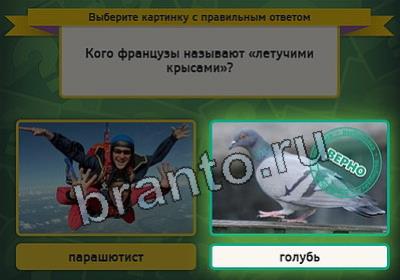 Выбирайка ответы в картинках Уровень 2416