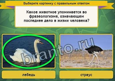 Одноклассники Выбирайка ответы Уровень 2438