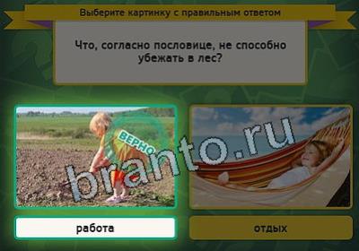 Выбирайка игра помощь Уровень 2445