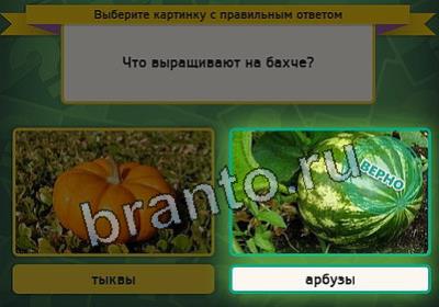 Игра Выбирайка подсказки Уровень 2448