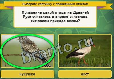 Выбирайка ответы в картинках Уровень 2456