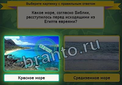 игра Выбирайка ответ на Уровень 2460