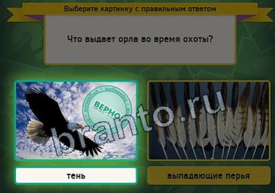 Помощь на игру ВК Выбирайка Уровень 2464